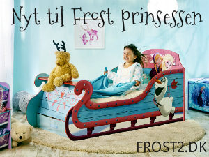 FROST2 banner4 300x225 - Rapunzel kostume til børn