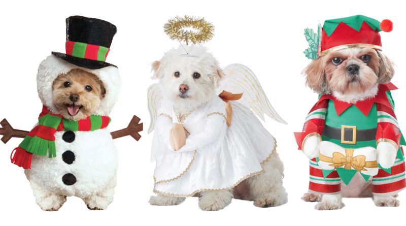 julekostume til hunde, jule kostumer til hunde, jule kostumer til kæledyr, jul hundekostume, kæledyr kostumer, hundekostumer, hundekostume tilbud, tøj til hunde, juletøj til hunde